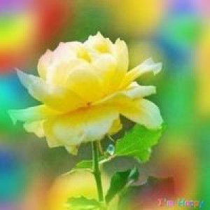 Adacap Lief Anna profile icon