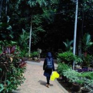 Amalina Salimah Zolkefli profile icon