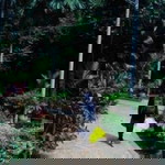 Amalina Salimah Zolkefli profile icon