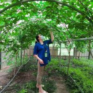 Saii Saowaluk profile icon