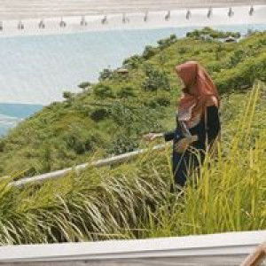 Wahyu Dwi profile icon