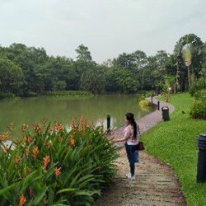 Joanne Mas profile icon