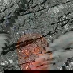 Jayvie Nazol Montilla profile icon