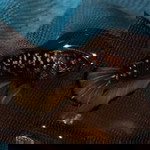 pitchapa profile icon