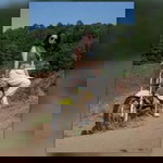 Suticha Sakaew profile icon