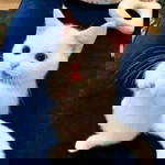 Sabil Lia profile icon