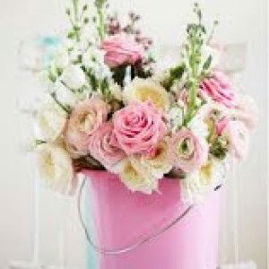 Amelias Herlina profile icon