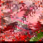 Ma'am Jean profile icon