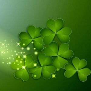 Thanh Thien profile icon