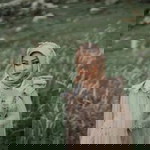 Zesti Rahmah Pratiwi profile icon