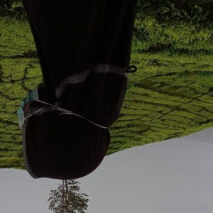 Indri Safitri profile icon