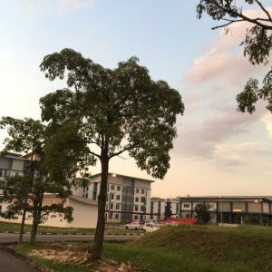 amylyia 4 profile icon