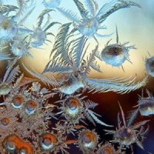 aby sani profile icon