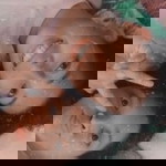 Angie Viana profile icon