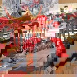 Ina Zaina profile icon