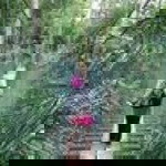 K.Nia M. Azhar profile icon