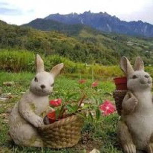 شهريذولل ابدول رزق profile icon