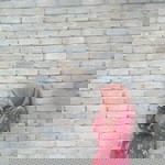 Nick Zaty profile icon