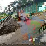 Judilyn Parang profile icon