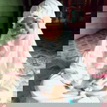 Anhy Asyifa profile icon