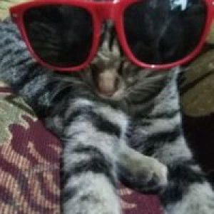 Siti Nurhidayah profile icon