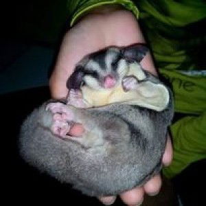 Radiññay Christiñe profile icon