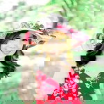 Shaira Dacles Villareal profile icon