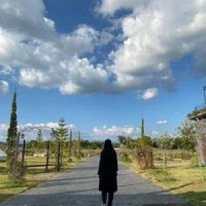 ดวงดาว ในความมืด profile icon