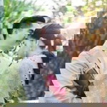 Maneerat Jamparthong profile icon