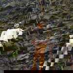 Angie Eco Mendoza profile icon