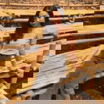 Kloy Kloy profile icon