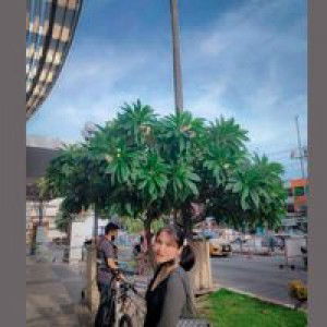 พรไพลิน profile icon