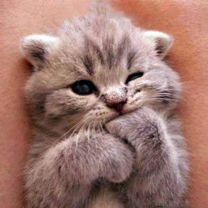 azira harith profile icon