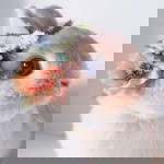 min dueanpen profile icon