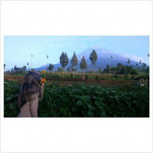 Ismi Herliyani profile icon