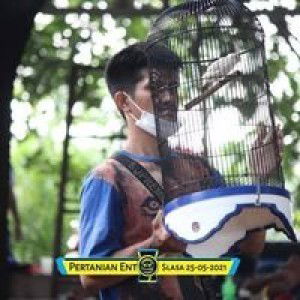 Dede Yusuf profile icon