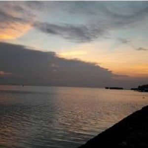 فتر رته profile icon