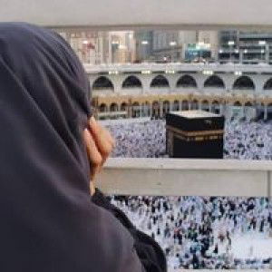 Erhul Erhul profile icon