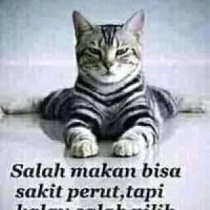 Sakina Jupri profile icon