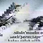 Sakina Jupri profile icon