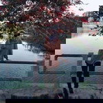 Bela Apriliani profile icon