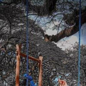 Anisicuk profile icon