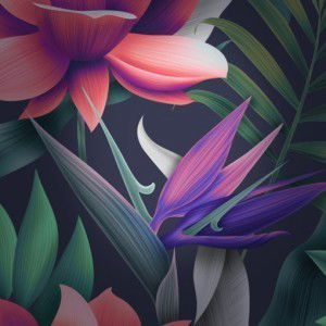 nur aini profile icon