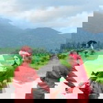 Maira Zaimi profile icon