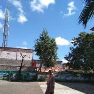 Novi Budiarti profile icon