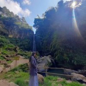 Afiva Iis profile icon