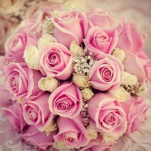 Intan Syamira profile icon