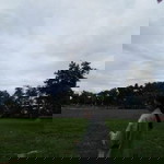 270 40 2 profile icon