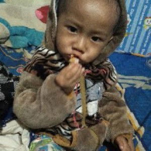 Vita Sari profile icon