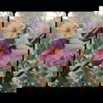 Langit Aksara profile icon